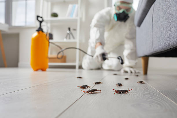 Trusted Cockroach Control service in Waynesboro, TN - Nex Pest Control